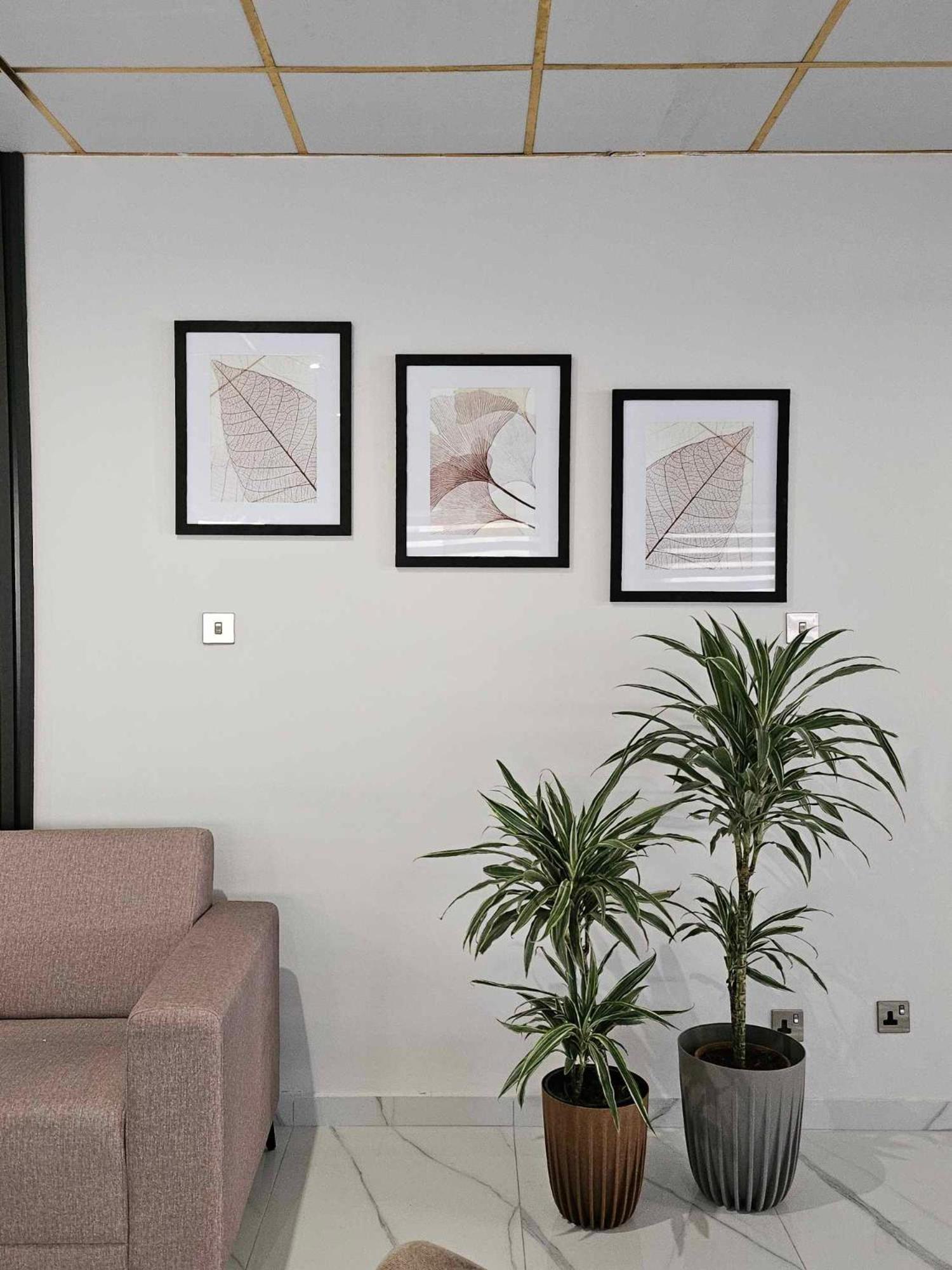 Polyxeni Hotel Apartments 레메소스 외부 사진